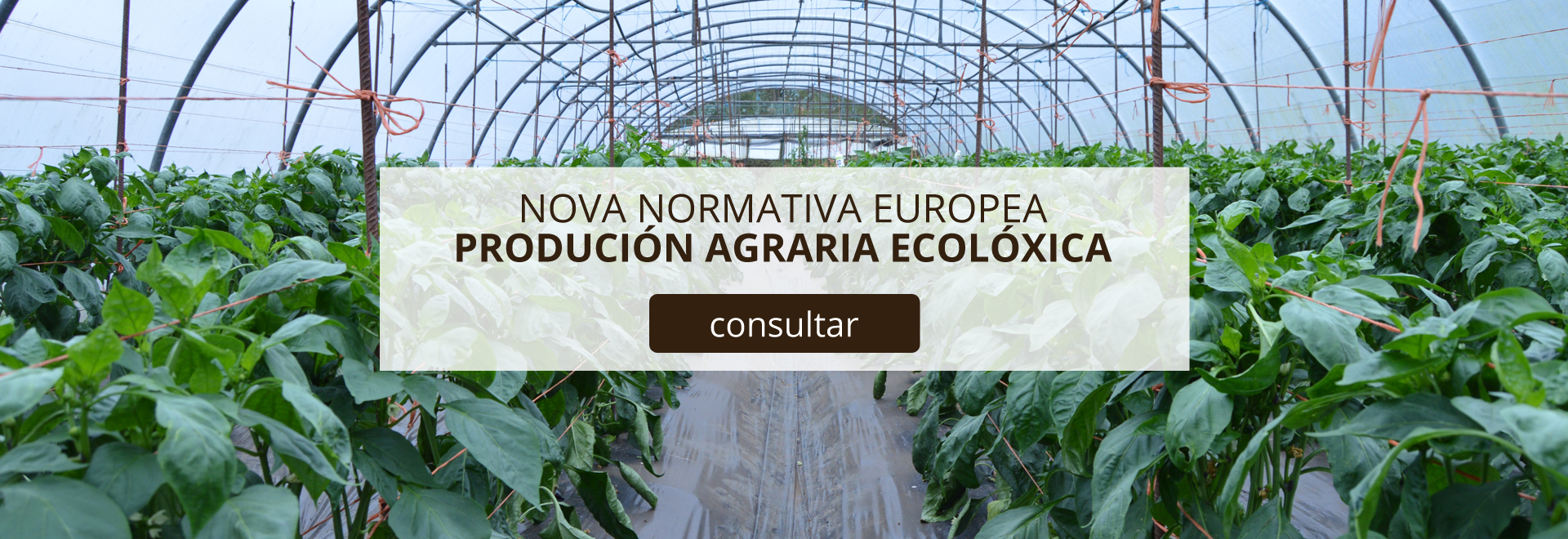 nueva-normativa-europea-cultivo-ecologico